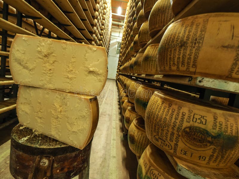 Parmesan Cheese Wheel at Farm Editorial Photography Image of isolated
