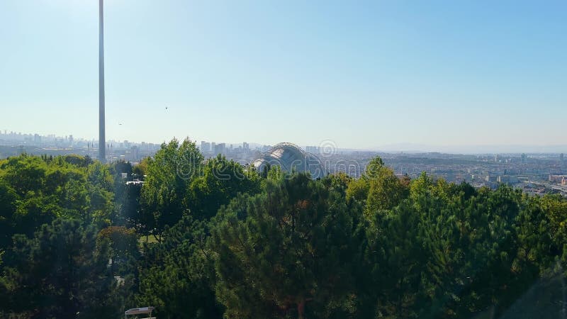 Parmi les oiseaux volants vue sur le toit du dôme clips vidéos
