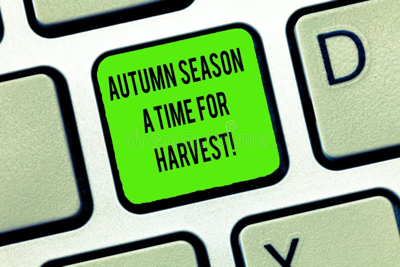 Parola che scrive tempo di Autumn Season A del testo per il concetto di affari del raccolto per il migliore tempo per la tastiera fotografia stock libera da diritti Parola che scrive tempo di Autumn Season A del testo per il concetto di affari del raccolto per il migliore tempo per la tastiera fotografia stock libera da diritti
