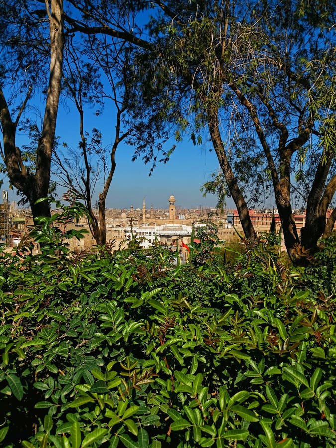 Parque Al Azhar en El Cairo en Egipto. Parque y lagos y árboles en el parque Al Azhar en El Cairo, Egipto