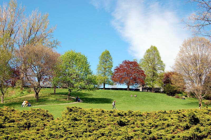Parque alto - Toronto imagem de stock Parque alto - Toronto imagem de stock