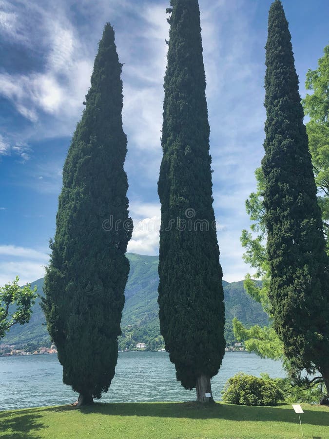 Parque da casa de campo Melzi em Bellagio no lago italiano famoso Como, céu nebuloso imagem de stock Parque da casa de campo Melzi em Bellagio no lago italiano famoso Como, céu nebuloso imagem de stock