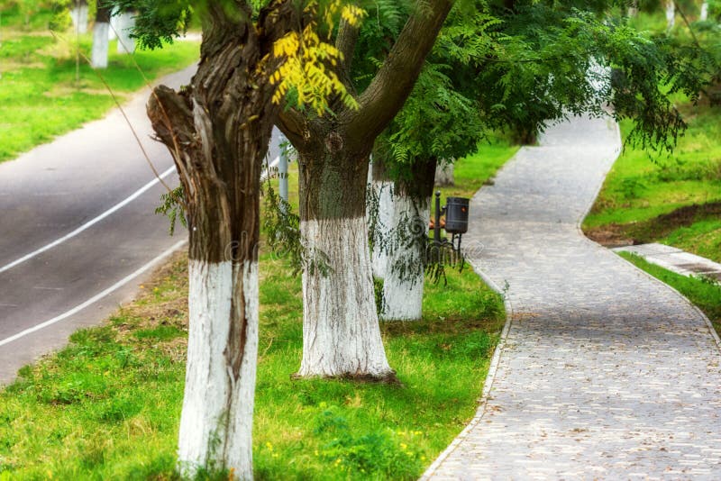 Parque De Odessa En Tiempo Del Atumn Foto de archivo Imagen de bosque
