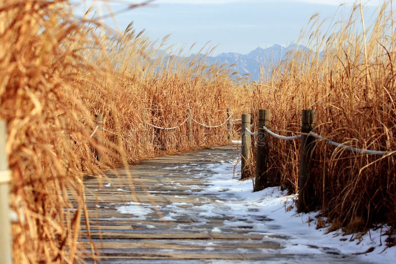 This is not a normal place. You will be astonished when you learn it was a landfill before. From 1994, Seoul government began to plant reeds and flowers here till 2002, it is transformed into a beautiful park as part of world cup parks. Methane is collected to produce electricity. This place nowadays is an example of the state of the art in landfill reformation. This is not a normal place. You will be astonished when you learn it was a landfill before. From 1994, Seoul government began to plant reeds and flowers here till 2002, it is transformed into a beautiful park as part of world cup parks. Methane is collected to produce electricity. This place nowadays is an example of the state of the art in landfill reformation.