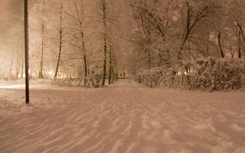 Parque del invierno en la noche foto de archivo Parque del invierno en la noche foto de archivo