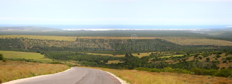 Parque nacional de Addo foto de stock royalty free Parque nacional de Addo foto de stock royalty free