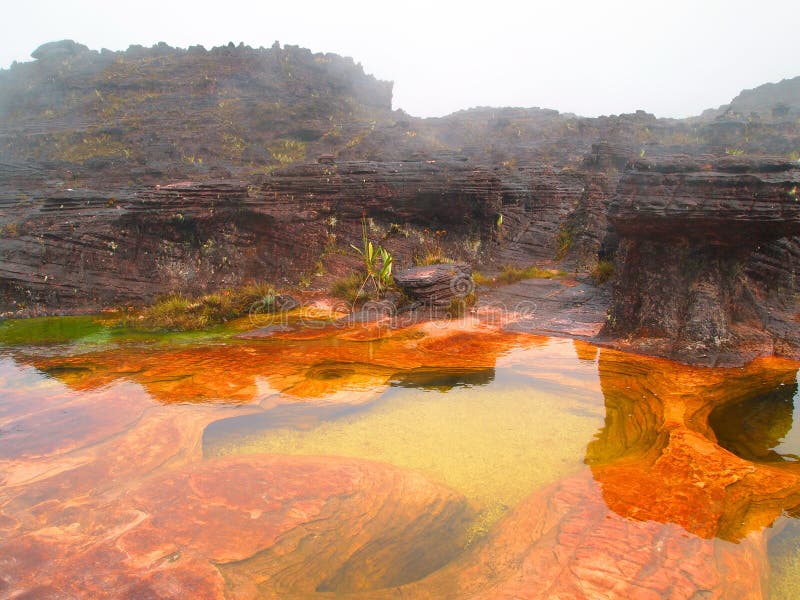 Incredible landscape. Mount Roraima. Plateau of Tepuy. Canaima National Park. Venezuela. South America. Natural pools. Jacuzzi. Incredible landscape. Mount Roraima. Plateau of Tepuy. Canaima National Park. Venezuela. South America. Natural pools. Jacuzzi.