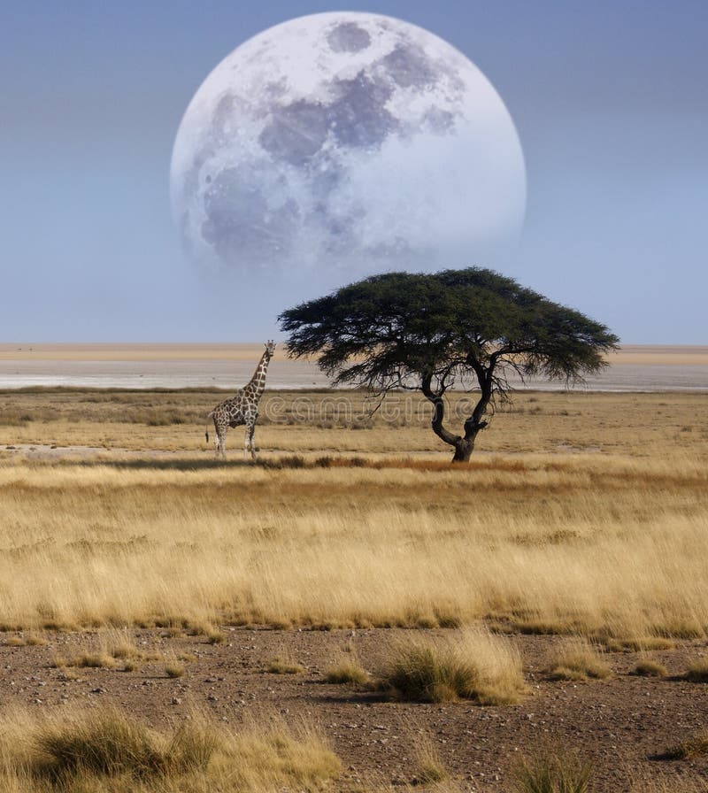 Parque nacional de Etosha em Namíbia do norte