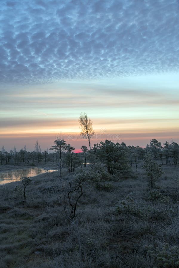 Parque nacional de Kemeri foto de stock