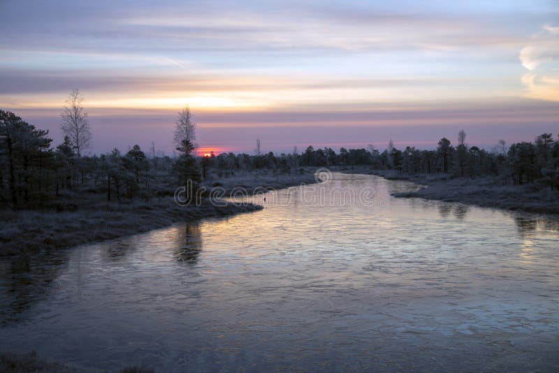 Parque nacional de Kemeri foto de stock