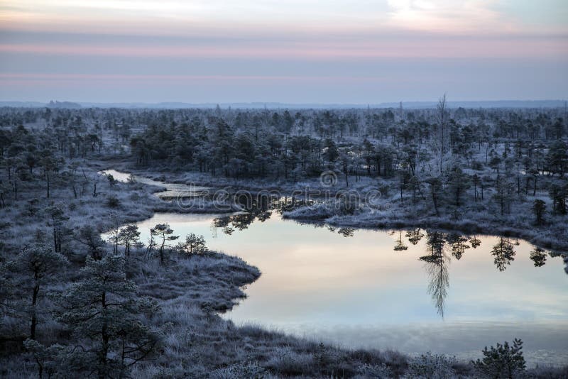 Parque nacional de Kemeri imagens de stock royalty free