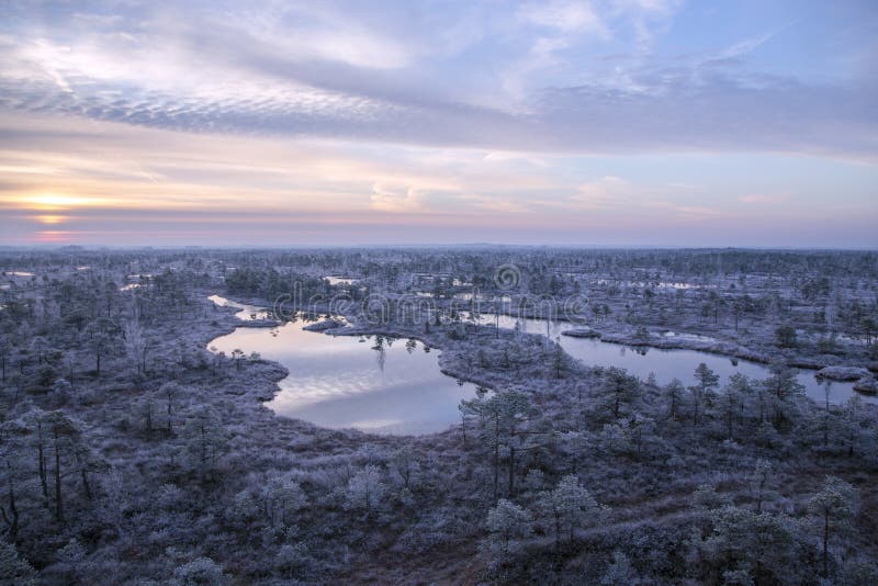Parque nacional de Kemeri foto de stock