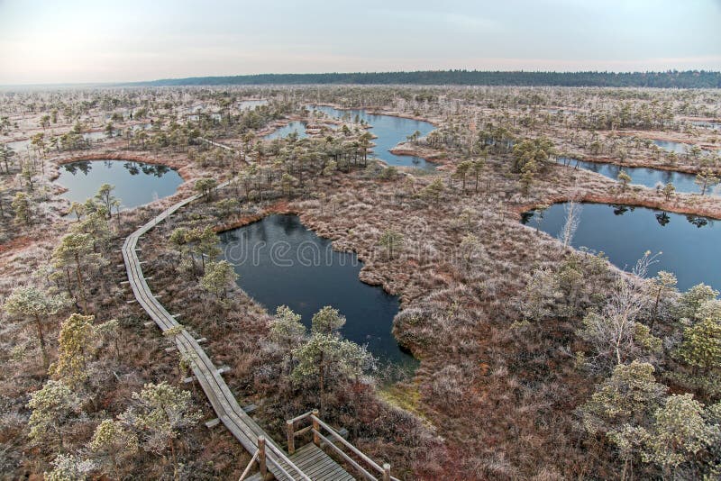 Parque nacional de Kemeri imagem de stock royalty free