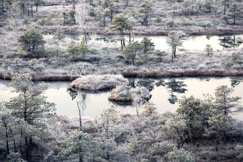 Parque Nacional de Kemeri imagens de stock royalty free