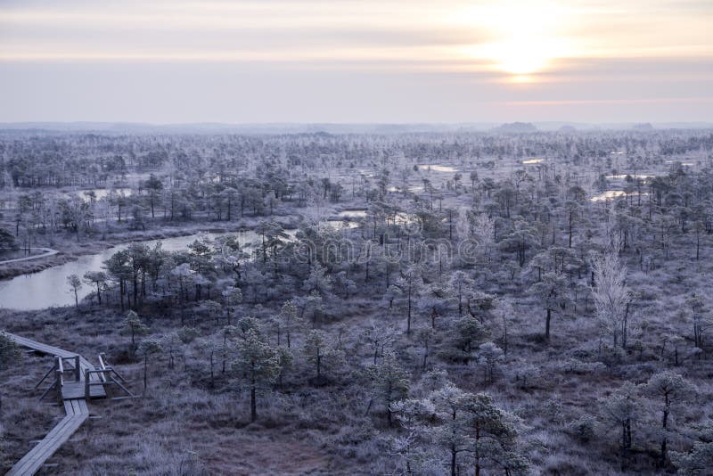 Parque nacional de Kemeri imagens de stock royalty free