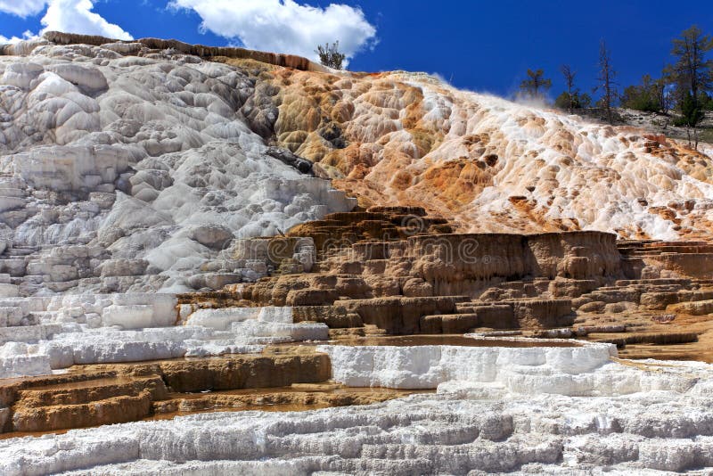 Parque nacional de Mammoth Hot Springs, Yellowstone fotografia de stock royalty free Parque nacional de Mammoth Hot Springs, Yellowstone fotografia de stock royalty free