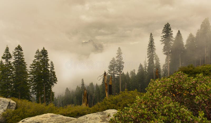 Parque nacional de sequoia