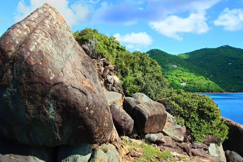 Parque Nacional de Shark Bay, Tortola imagens de stock