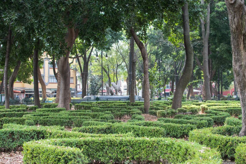 Parque Pacífico Con árboles Y Arbustos En La Ciudad De México Imagen de  archivo - Imagen de planta, escena: 208840249