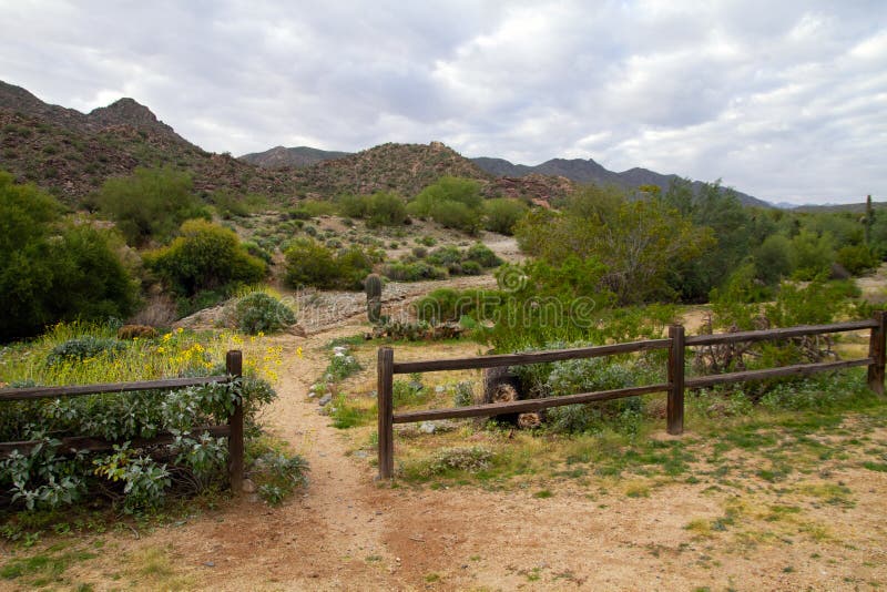 Parque sul da montanha, Phoenix, o Arizona foto de stock Parque sul da montanha, Phoenix, o Arizona foto de stock