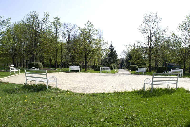 Parque verde bonito com os bancos de madeira brancos Parque verde bonito com um longo caminho imagem de stock Parque verde bonito com os bancos de madeira brancos Parque verde bonito com um longo caminho imagem de stock