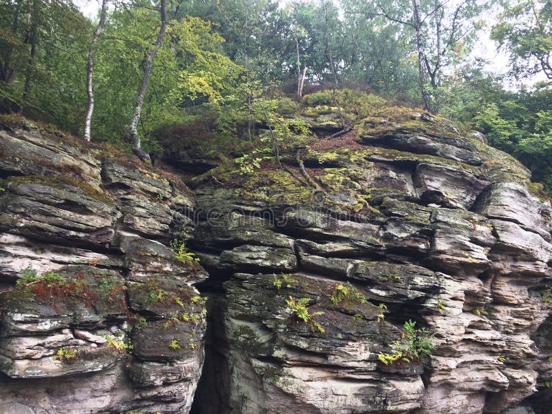 Parques nacionales de Luxemburgo Paisaje de la montaña Formaciones de roca expuestas con la hendidura profunda cubierta con la ve imagen de archivo libre de regalías Parques nacionales de Luxemburgo Paisaje de la montaña Formaciones de roca expuestas con la hendidura profunda cubierta con la ve imagen de archivo libre de regalías