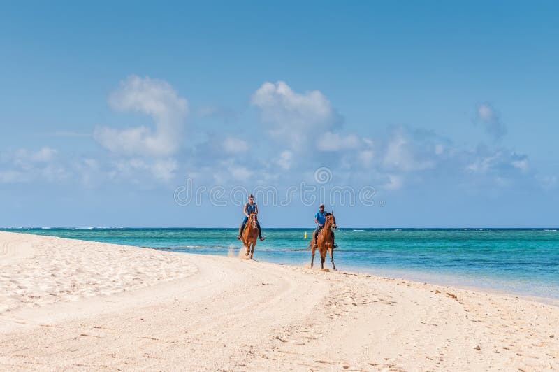 Parridning på hästrygg längs havet arkivfoton Parridning på hästrygg längs havet arkivfoton