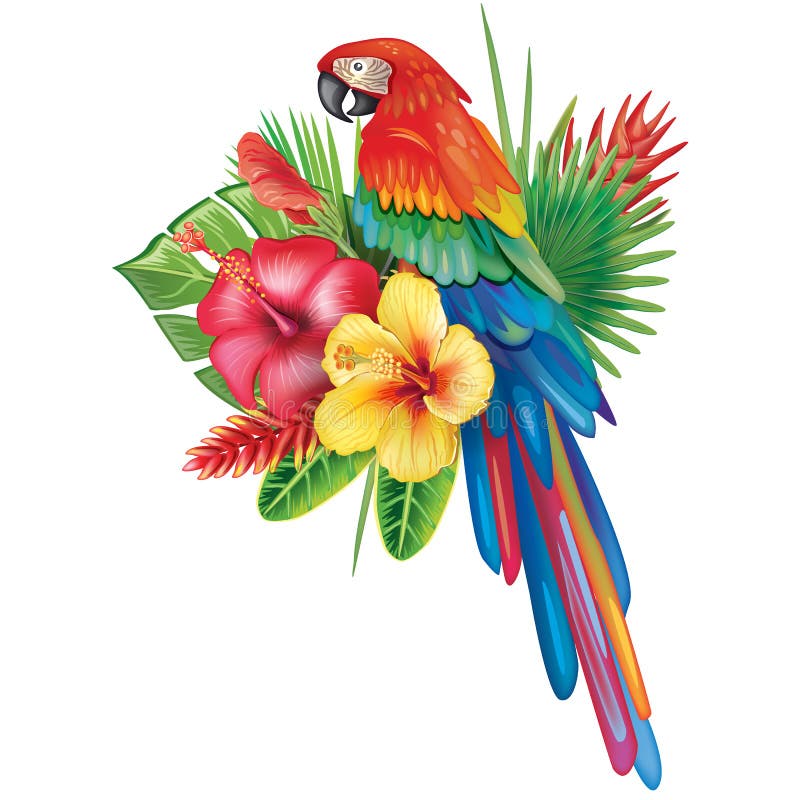 Parrot Ara With Tropical Flowers Stock Vector Illustration