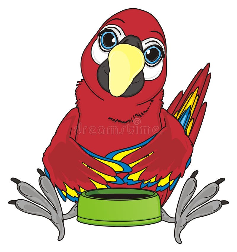 Parrot ask to eat stock illustration. Illustration of talk 88545322