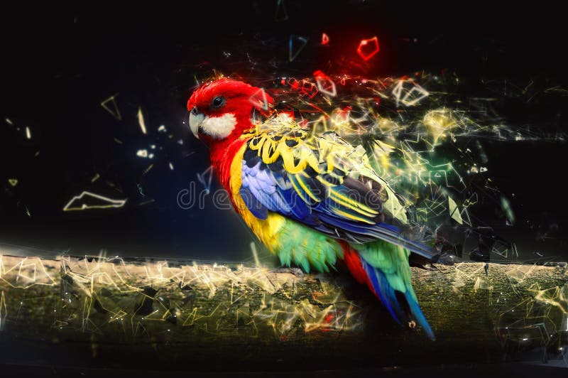 Parrot on the branch, abstract animal concept stock photo