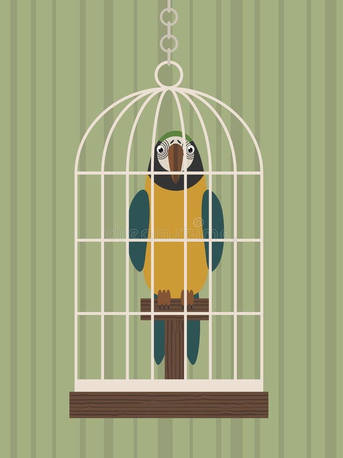 Bird in a cage stock vector. Illustration of yellow, background 9614411