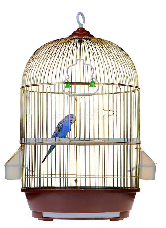 Parrot in cage stock images Parrot in cage stock images
