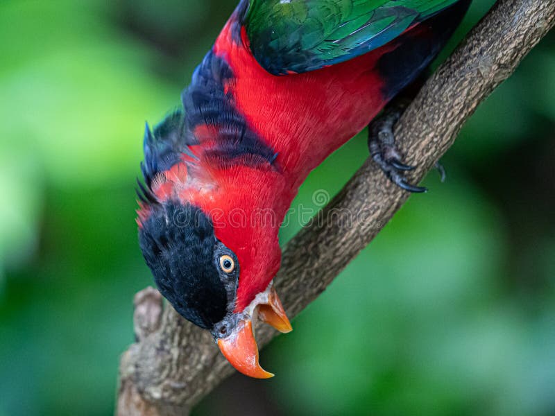 Marcus898 Photographer profile