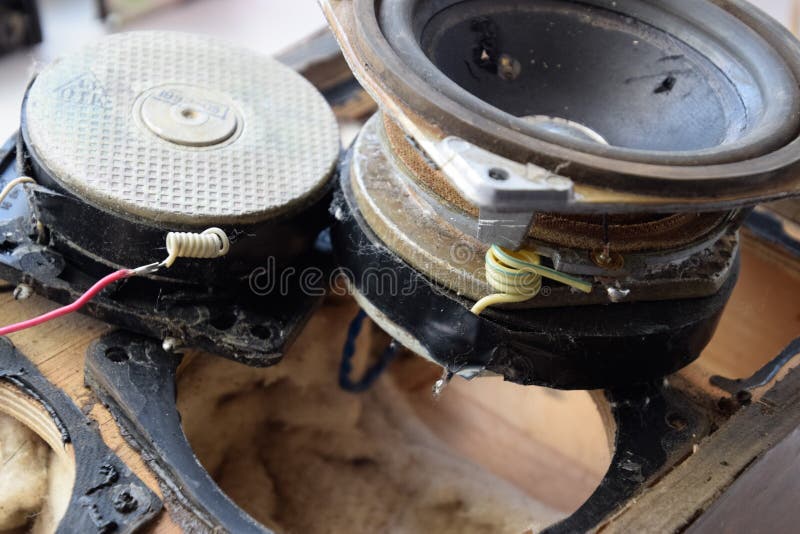 Parsing the speaker. Revision of the speakers royalty free stock photos