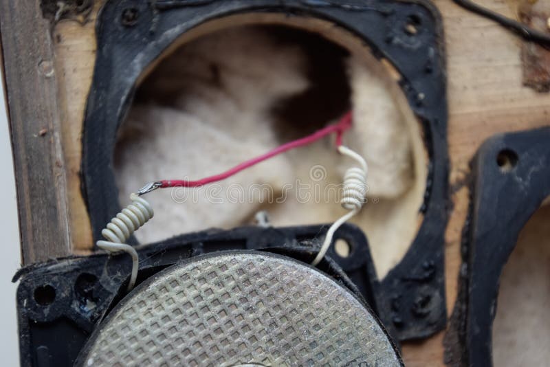 Parsing the speaker. Revision of the speakers royalty free stock photo