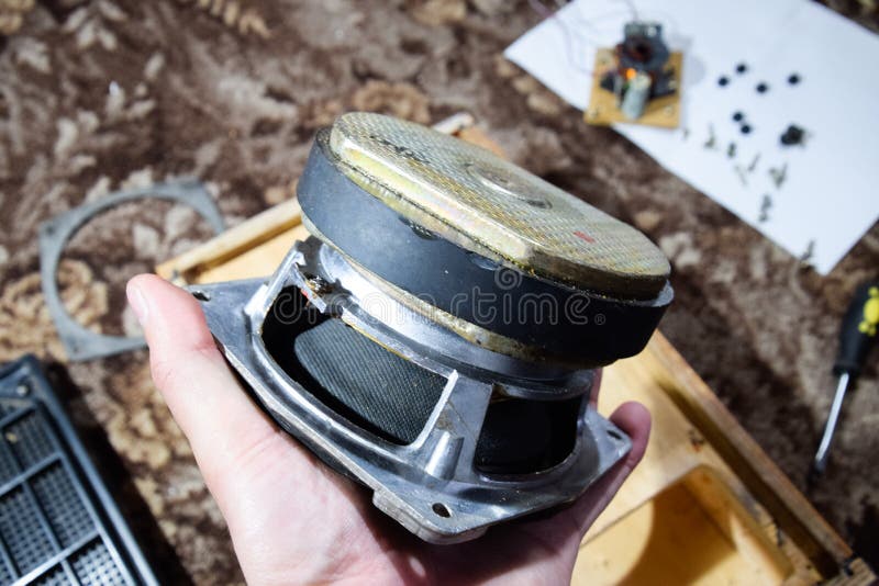 Parsing the speaker. Subwoofer 15gdn royalty free stock photos