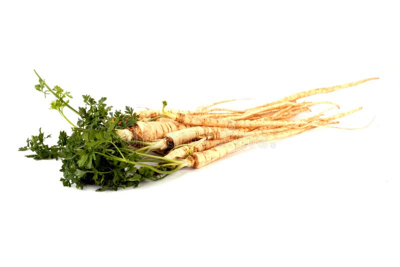 Parsley Vegetable Root on White Stock Photo Image of nature, leaf