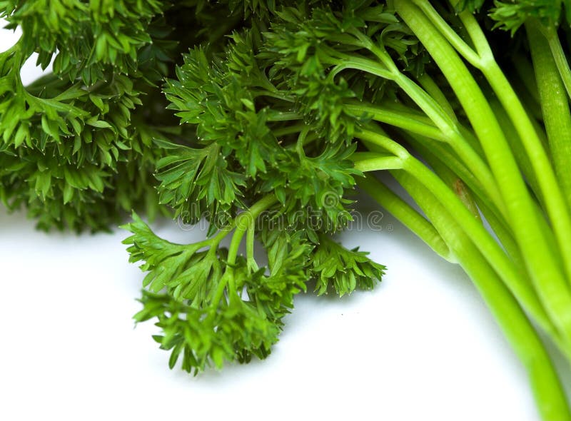 644 Stalks Parsley Stock Photos Free & RoyaltyFree Stock Photos from