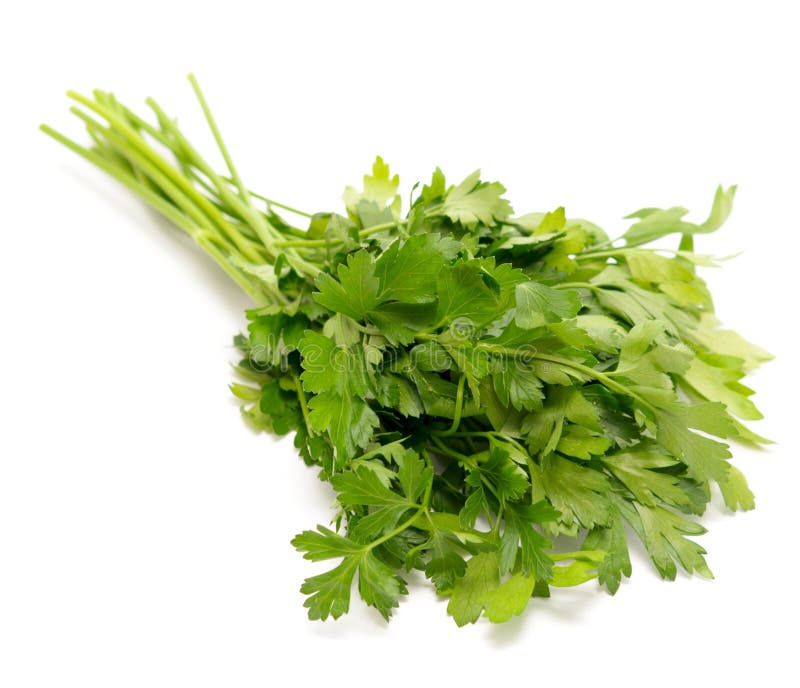 Aromatic herbs stock photo. Image of cooking, food, mint 9054438