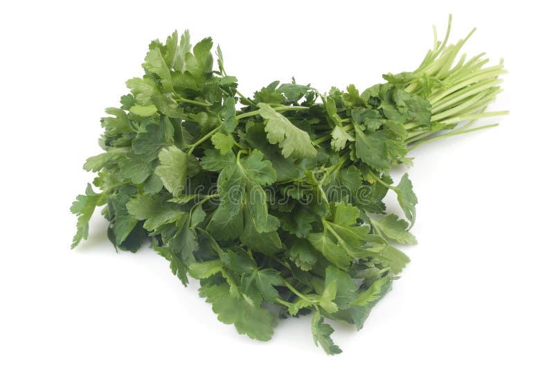 Parsley