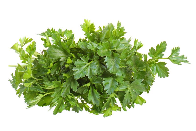 Parsley