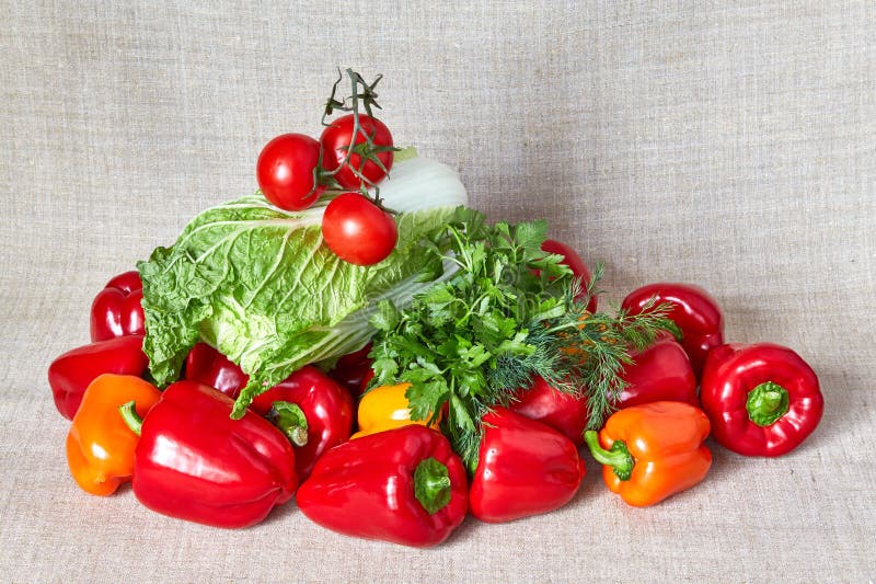Parsley, Beijing cabbage, fennel, paprika, tomato on a gray canvas stock photo