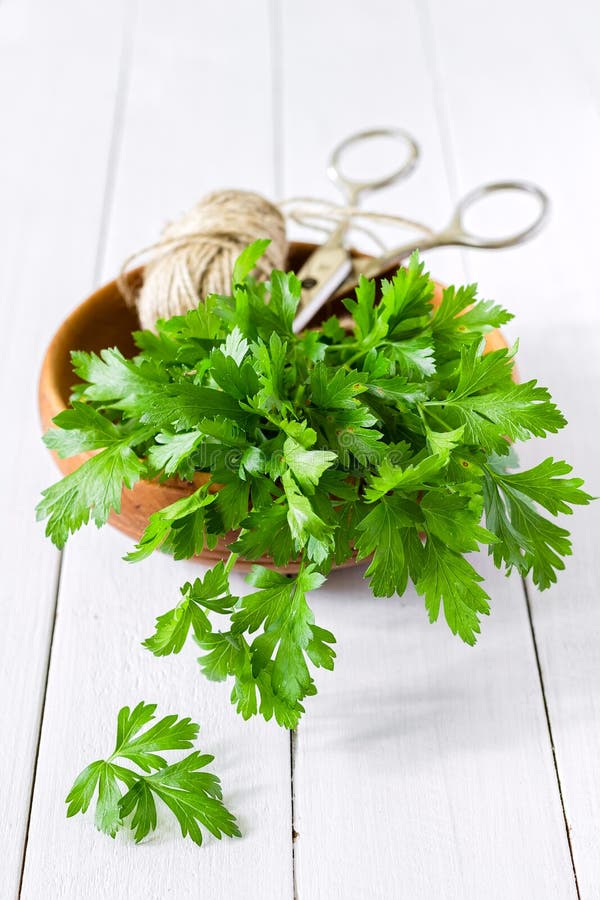 Parsley stock photo. Image of health, culinary, gourmet 33343710