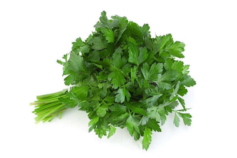 Parsley herb bunch stock photo. Image of aromatic, leaf 197749884