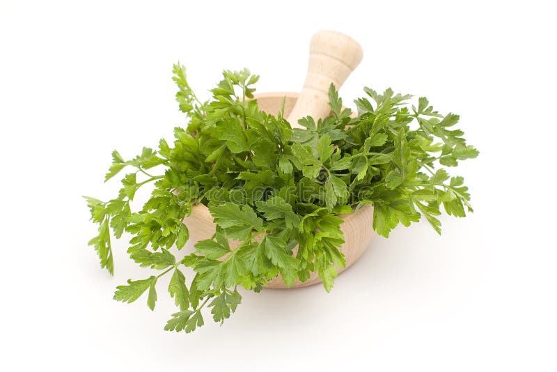 Parsley in mortar