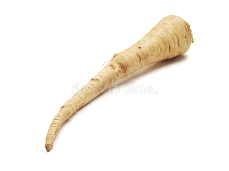 Parsley root stock image. Image of eating, board, harvested 137492487