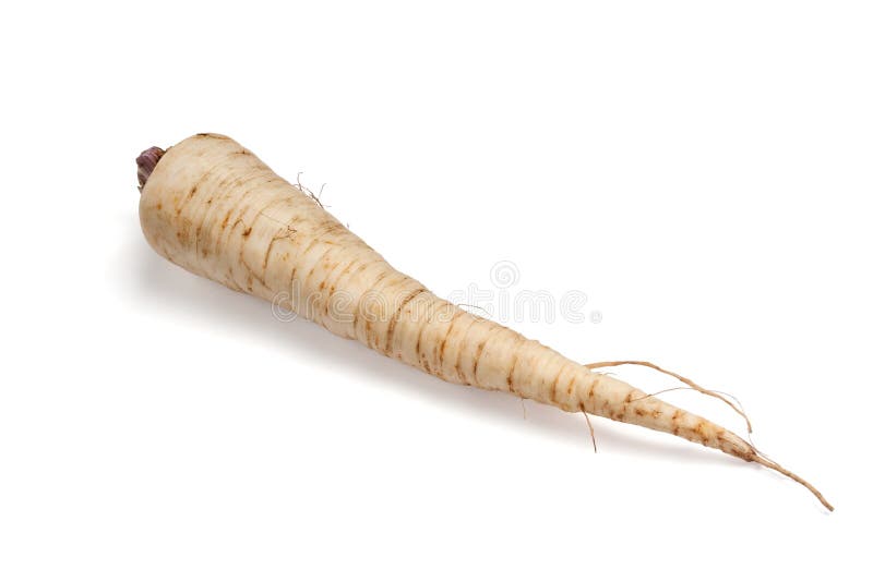 Parsley root