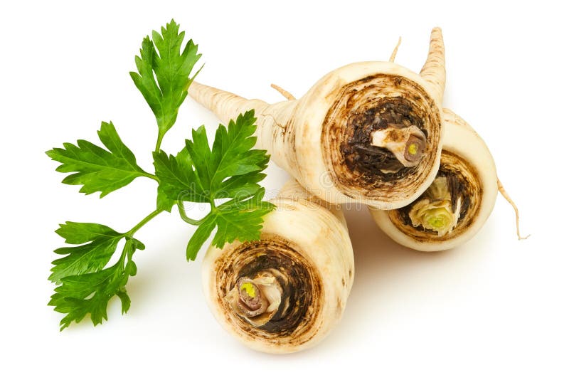 Parsley root