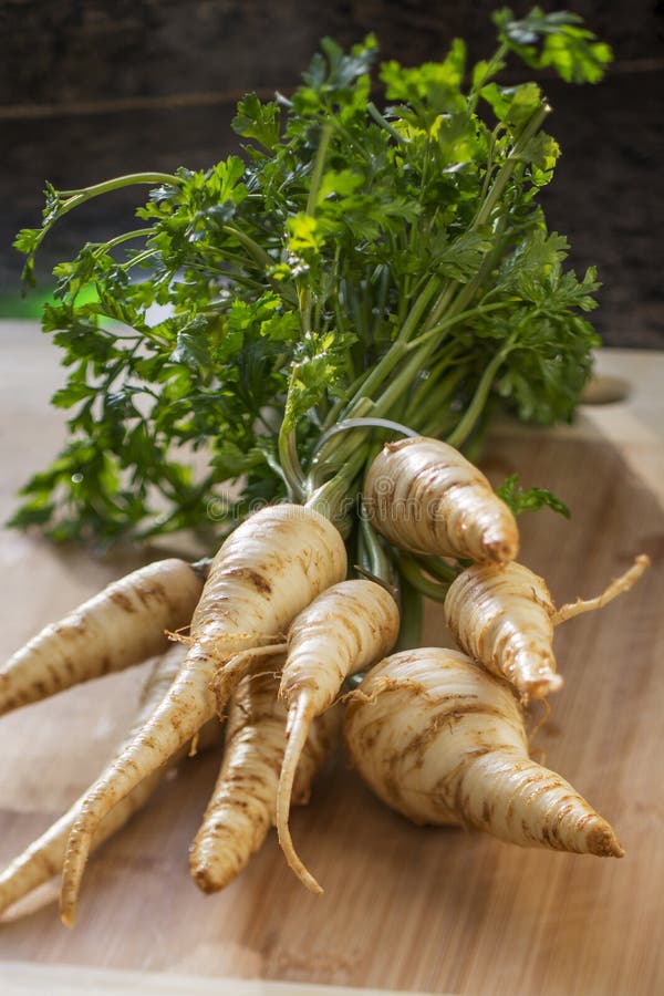 Parsley root stock image. Image of eating, board, harvested 137492487