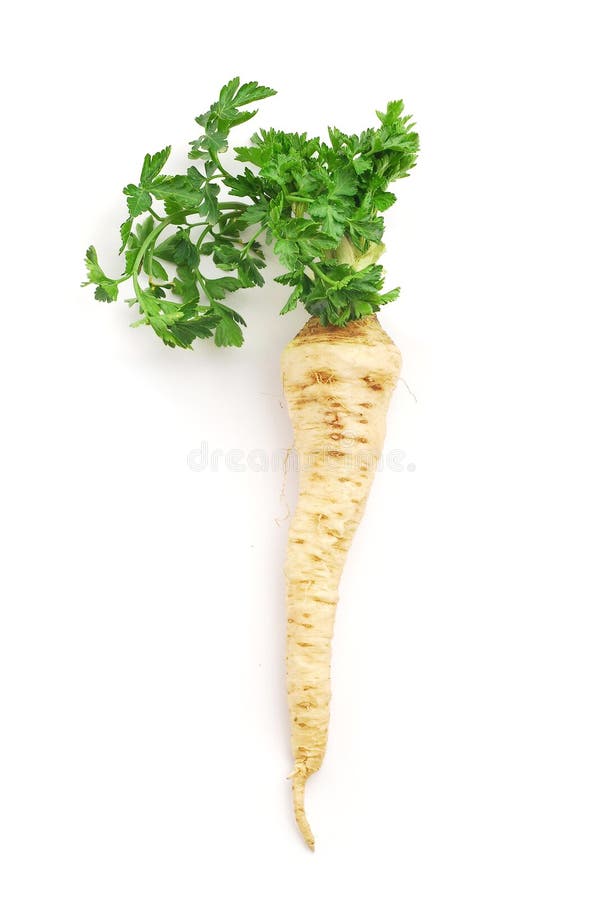 Parsley root stock image. Image of eating, board, harvested 137492487